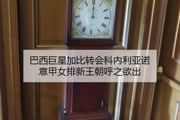 ba-xi-ju-xing-jia-bi-zhuan-hui-ke-nei-li-ya-nuo-yi-jia-nv-pai-xin-wang-chao-hu-zhi-yu-chu-2-281.jpg